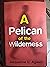 A Pelican of the Wilderness