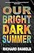 Our Bright Dark Summer