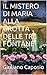 IL MISTERO DI MARIA ALLA GROTTA DELLE TRE FONTANE (Italian Edition)