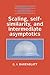 Scaling, Self-similarity, and Intermediate Asymptotics: Dimensional Analysis and Intermediate Asymptotics (Cambridge Texts in Applied Mathematics Book 14)