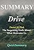 Summary - Drive: By Daniel ...
