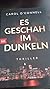 Es geschah im Dunklen