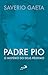 Padre Pio: O mistério do Deus próximo (Portuguese Edition)