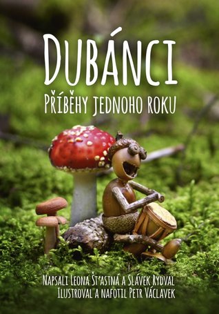 Dubánci - Příběhy jednoho roku (Hardcover)