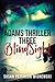 BlindSight (Adams Thriller, #3)