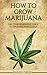 How To Grow Marijuana: The ...