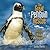 The Great Penguin Rescue: Saving the African Penguins