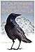 A Californian's Guide to th...
