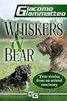Whiskers and Bear by Giacomo Giammatteo