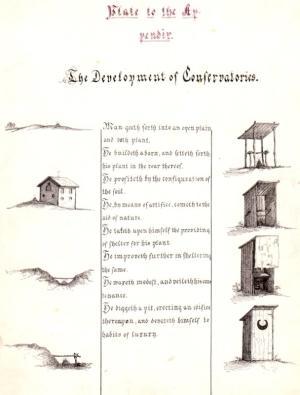 The Cactus Humanus, Methodically, Viz.; Inductively & Deductively, Treated, Analyzed, & Illustrated, by Albigraecus Cacatus Pedo (Unknown Binding)