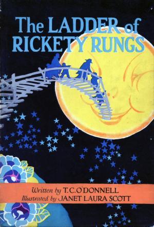 The Ladder of Rickety Rungs (Hardcover)