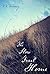The Slow Trail Home by V.V. Wedding