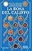 La rosa del califfo (The Wrath & the Dawn, #2)