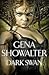 Dark Swan (Otherworld Assassin, #3)
