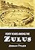 Forty Years Among the Zulus (1891) (With Active Table of Contents)