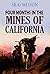 Four Months in the Mines of California: or, Life in the Mountains (1854) (Linked Table of Contents)