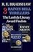 3 Rainey Bell Thrillers: The Lambda Finalists: Rainey Nights, The Rainey Season, & Relatively Rainey