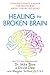Healing the Broken Brain: L...