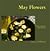 May Flowers