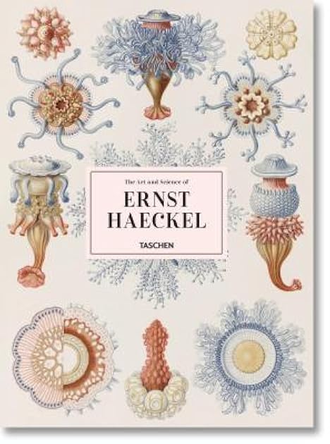 The Art & Science of Ernst Haeckel