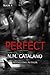 Perfect: Book 4, Stranger Stand Alone Series