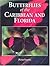 Butterflies of the Caribbean by Peter D. Stiling