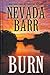 Burn (Anna Pigeon, #16)