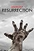 Lights Out: Ressurection