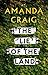 The Lie of the Land by Amanda Craig The Lie of the Land by Amanda Craig