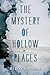 The Mystery of Hollow Places: A YA Thriller About Missing Fathers, Family, and a Daughter's Search for Truth