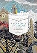 Image for A Pocketful of Dreams
