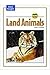 Land Animals by Irving M. Gottlieb