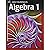 Holt McDougal Algebra 1