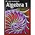 Holt McDougal Algebra 1 by Edward B. Burger