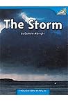 The Storm: Individual Titles Set (6 copies each) Level D (Journeys Leveled Readers)