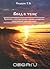 Ввод в тему. Книга 1. (Хронолого-эзотерический анализ развития современной цивилизации. #1)