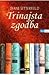 Trinajsta zgodba by Diane Setterfield