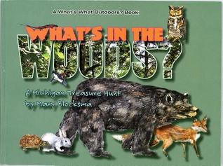 What's In the Woods?: A Great Lakes Area Treasure Hunt (Paperback)
