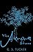 The Aurora Stone