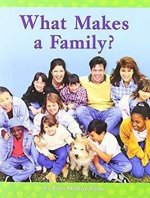 What Makes a Family? (Paperback)