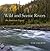 Wild and Scenic Rivers: An ...