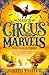 The Gold Thief (Ned’s Circus of Marvels) (Book 2)