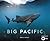 Big Pacific: Passionate, Voracious, Mysterious, Violent