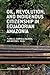 Oil, Revolution, and Indigenous Citizenship in Ecuadorian Amazonia (Latin American Political Economy)