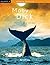 MOBY DICK (Kalafate) (Spanish Edition)