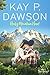 Rocky Mountain Heart (Roberts of Silver Springs, #8)