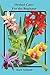 Orchid Care by Barb Schmidt