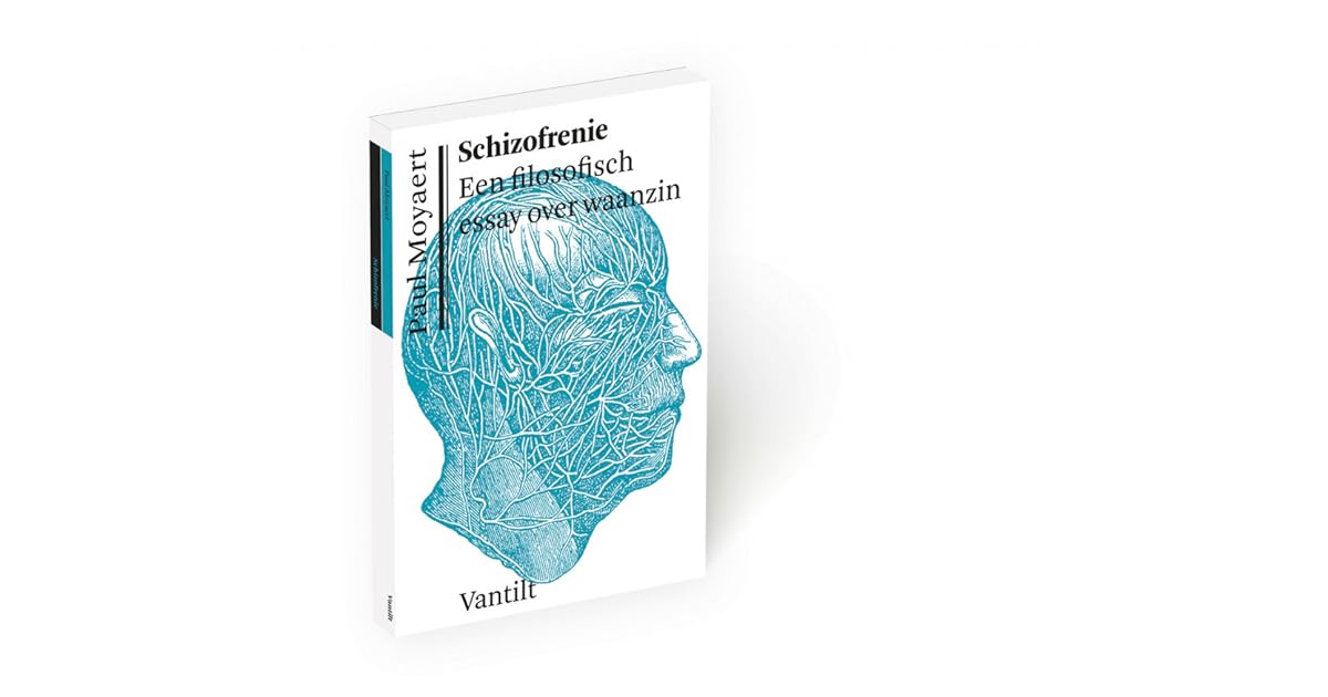 Schizofrenie een filosofisch essay over waanzin 05 picture