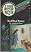 Devil Mask Mystery (A Zebra Mystery Puzzler, #3)