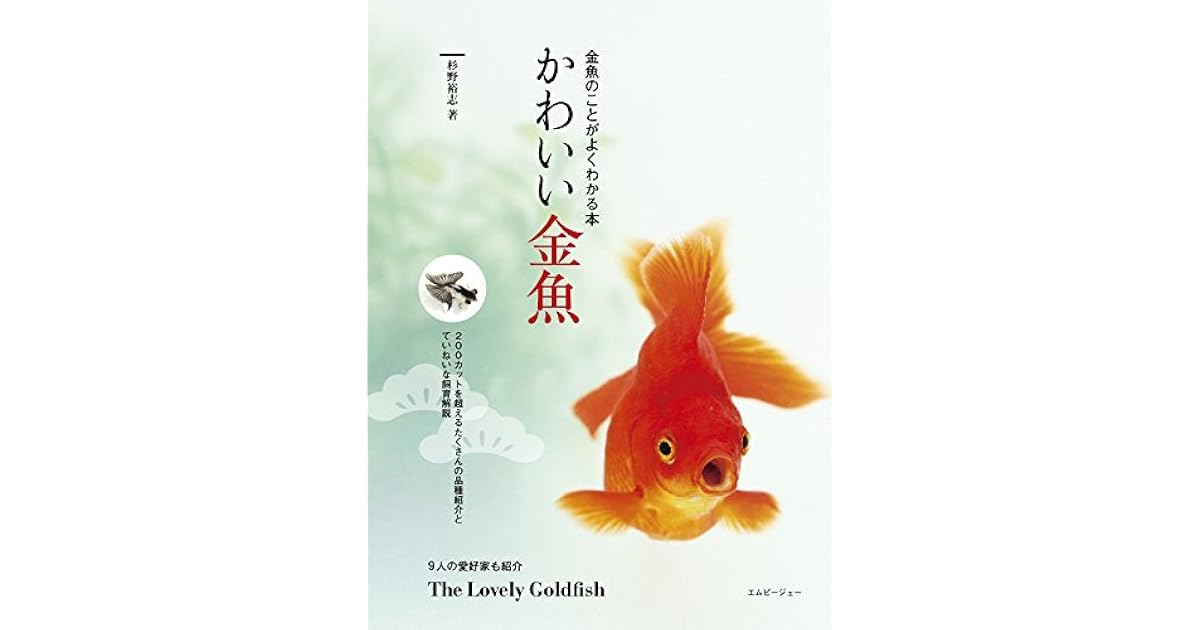 I Gr Assets Com Images S Compressed Photo Goodr